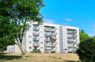 Wohnung mieten in Waldesruh, 15806 Zossen, Waldesruh - frisch renovierte 1 Zimmer mit Duschbad und Balkon