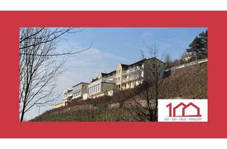 Gewerbeimmobilie kaufen in 63755 Alzenau, ***Schloßberg trumpft Schlossallee - Wein, Weitblick & Wohlgeschmack***