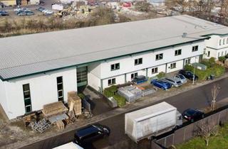 Geschäftslokal mieten in Frankenstraße, 77971 Kippenheim, Industriehalle mit großem Bürotrakt und großem Grundstück