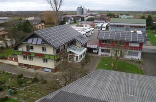 Gewerbeimmobilie kaufen in 77743 Neuried, Großes Gewerbeanwesen mit Hallen, Bürokomplex und Wohnhaus