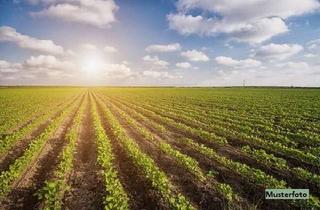 Grundstück zu kaufen in Eilerde, 58769 Nachrodt-Wiblingwerde, Landwirtschaftsfläche/Weide