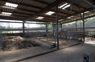 Immobilie kaufen in 26936 Stadland, Landwirtschaftlicher Betrieb mit 2,2 ha, noch angemeldet - Kauf oder Pacht von weiterem Grünland mög