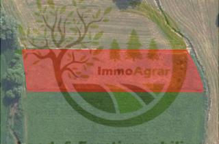 Gewerbeimmobilie kaufen in 86551 Aichach, Verkaufe 0,52 ha Grünland in 86551 Unterschneitbach (AIC)
