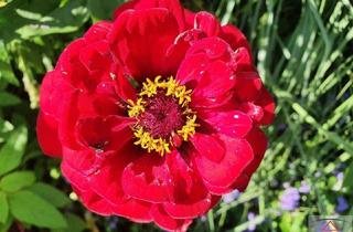 Gewerbeimmobilie kaufen in 91555 Feuchtwangen, Ackerland mit ca. 5,2 Hektar!