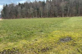 Gewerbeimmobilie kaufen in 83365 Nußdorf, Wiese als Ausgleichsfläche, Freizeit oder Hobbygrund am Mühlbach geeignet, zu verkaufen