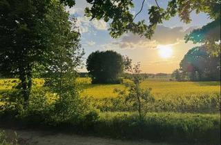 Wohnung mieten in 01920 Nebelschütz, Wohnen im Park ca. 7 km von Kamenz