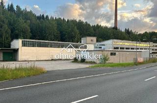 Gewerbeimmobilie kaufen in 08262 Muldenhammer, Gewerbeimmobilie mit Potenzial - ca. 6.400 m², provisionsfrei vom Eigentümer