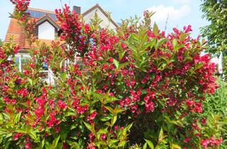 Villa kaufen in 93053 Oberisling-Graß, Exklusive und lichtdurchflutete Architektenvilla mit Doppelgrundstück in wohltuender Lage!