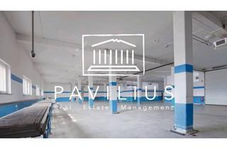 Büro zu mieten in 61194 Niddatal, Niddatal: Ca. 600 m² Hallenfläche plus Büro – flexibel nutzbar, ab 300 m² teilbar.