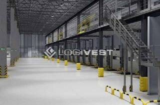 Gewerbeimmobilie mieten in 82069 Schäftlarn, Projektierter Neubau einer Lager- und Logistikhalle