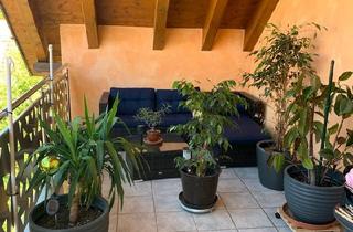 Mehrfamilienhaus kaufen in 77955 Ettenheim, Ettenheim - Mehrfamilienhaus Ettenheim Haus Werkstatt