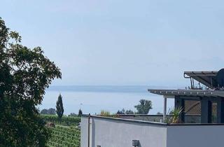 Wohnung kaufen in 88719 Stetten, Exklusive 2-Zimmer-Wohnung mit Blick auf den Bodensee und das Alpenpanorama