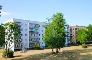 Wohnung mieten in Waldesruh 11, 15806 Zossen, Waldesruh - frisch renovierte 4 Zimmer mit separater Küche und Balkon