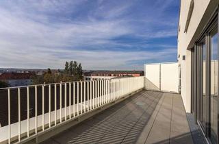 Wohnung mieten in Altonaer Straße 10, 01159 Friedrichstadt, Nachmieter per 01.09.: 5 Zimmer DG - Maisonette Wohnung mit Dachterrasse