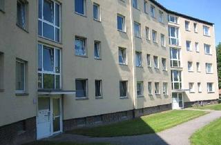 Wohnung mieten in Breslauer Str., 24161 Altenholz, Auf gute Nachbarschaft: individuelles 1-Zimmer-Appartment