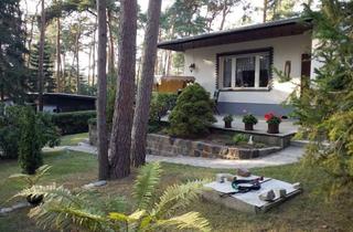 Haus kaufen in 39291 Hohenwarthe, Eine kleine waldige Idylle