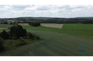 Grundstück zu kaufen in 66625 Nohfelden, Landwirtschaftliche Fläche - 15717m² verfügbar zwischen Neunkirchen/Nahe - Gonnesweiler an der L135