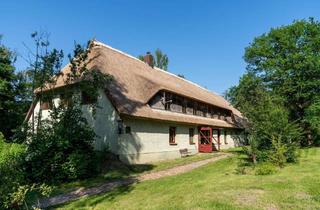 Haus kaufen in 19406 Witzin, Landhaus unter Reet, teilsaniert, am See, inkl. Ferienwohnung, Stallungen, Weiden und Wald.
