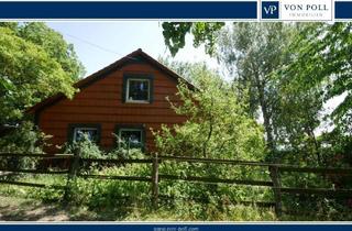 Haus kaufen in 38387 Söllingen, Resthof mit Pferdestall (5 bzw. 10 Boxen) und Weideland