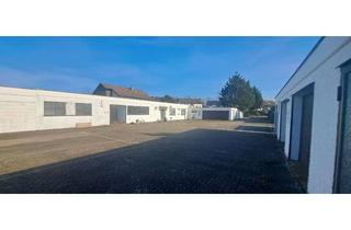 Gewerbeimmobilie kaufen in 76437 Rastatt, *** Große ebenerdige Halle mit Büro & Wohnen 511 qm * 2213 qm Grdst * 6 Garagen * 8 PKW-ST uvm. ***
