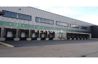 Gewerbeimmobilie mieten in 15834 Rangsdorf, Berlin Rangsdorf, ca. 32.000 m² Logistikneubau