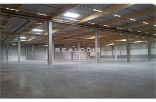 Büro zu mieten in 14641 Wustermark, Produktionshalle mit Sprinkler, 24/7 und Büro!