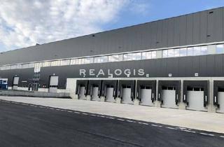 Gewerbeimmobilie mieten in 14979 Großbeeren, Großbeeren, ca. 18.980 m² Lagerfläche, Produktion, Logistik