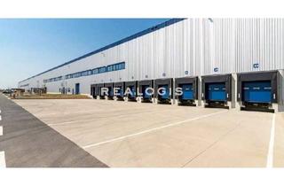 Gewerbeimmobilie mieten in 15834 Rangsdorf, Rangsdorf, ca. 5.000 m² Logistikneubau