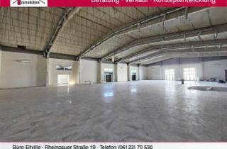 Immobilie kaufen in 55129 Mainz, Top Gewerbeimmobilie mit großer Halle, Bürofläche + Betriebsleiterwohnung