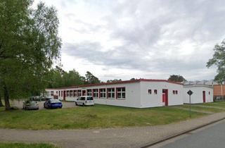 Geschäftslokal mieten in 29633 Munster, Gewerbehalle mit Büroräumen - Ideal für KFZ oder Industrie