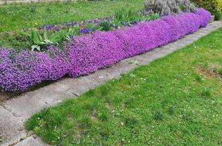 Einfamilienhaus kaufen in 75057 Kürnbach, Kürnbach - Wohnhaus, Scheune, Garage, Garten