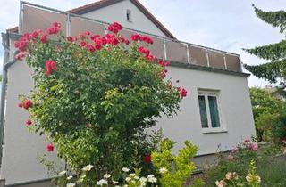 Haus kaufen in 06618 Naumburg (Saale), Naumburg (Saale) - Maklercourtage gespart! Hochwertiges Herrenhaus