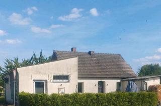 Einfamilienhaus kaufen in 03249 Sonnewalde, Sonnewalde - Einfamilienhaus in ruhiger Lage - Sonnewalde