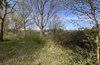 Anlageobjekt in 04838 Eilenburg, Eilenburg - 4800 M² - MIT BESTER ANBINDUNG UND INFRASTRUKTUR
