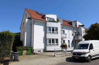 Wohnung kaufen in 14482 Babelsberg Süd, Gepflegte 1-Zimmer-Wohnung in Babelsberg zu verkaufen