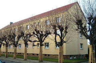 Wohnung mieten in Friedenstr. 38, 03238 Finsterwalde, Frisch renovierte 2-Raumwohnung für Jung und Alt