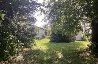 Einfamilienhaus kaufen in 88499 Riedlingen, Einfamilienhaus mit großem Grundstück in Riedlingen
