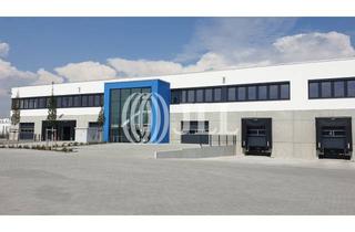 Gewerbeimmobilie mieten in 63584 Gründau, Provisionsfrei - 7.500m² Neubau - 10 LKW-Rampen + 1 ebenerdiges Tor - 10m Deckenhöhe