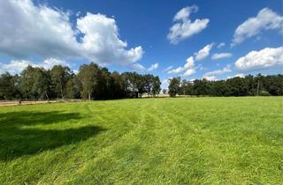 Anlageobjekt in 29646 Bispingen, Moderne Reitanlage mit 10,6 ha, 20 Boxen+Laufstall, Reithalle, PV Anlage, 450 m² Wfl. EFH+3 Whg.!