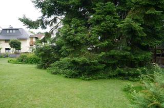 Grundstück zu kaufen in 63683 Ortenberg, Hier könnte Dein Traum vom Haus Wirklichkeit werden.