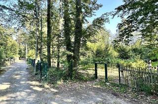 Grundstück zu kaufen in Spechtgasse 14, 04821 Brandis, +++ Baugrundstück mit 2400 m² Fläche und Baugenehmigung +++