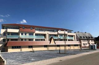 Gewerbeimmobilie mieten in 76887 Bad Bergzabern, Verkaufsfläche in Neubauwohnanlage im Stadtzentrum-inkl. 24 Parkplätzen