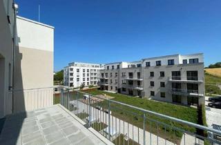 Wohnung mieten in 79379 Müllheim, Neubau - Erstbezug: 3-Zimmer-Wohnung