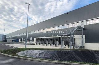 Gewerbeimmobilie mieten in 14979 Großbeeren, Großbeeren, ca. 9.300 m² Lagerfläche, Produktion, Logistik