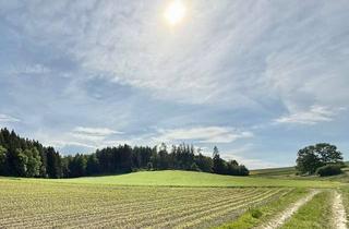 Gewerbeimmobilie kaufen in 84539 Zangberg, Landwirtschaftliches Grundstück im Gemeindebereich Zangberg