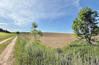 Gewerbeimmobilie kaufen in 84539 Zangberg, Ackerland im Gemeindebereich Zangberg