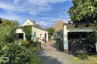 Haus kaufen in Lindengasse, 04668 Grimma, EFH zum Selbstverwirklichen in idyllischer Lage