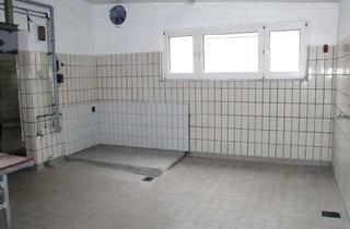 Lager mieten in 65779 Kelkheim, Lagerfläche/Produktionsfläche mit direkter Zufahrt