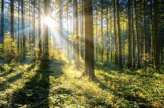 Doppelhaushälfte kaufen in 21529 Kröppelshagen-Fahrendorf, Kröppelshagen-Fahrendorf - Ruhig gelegene Doppelhaushälfte mit Garten nahe dem Sachsenwald
