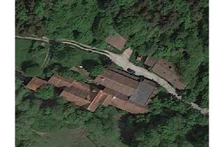 Haus kaufen in 97840 Hafenlohr, Hafenlohr - Lage Lage Lage !!! Anwesen mitten im Wald nur 5 Min. zur Stadt